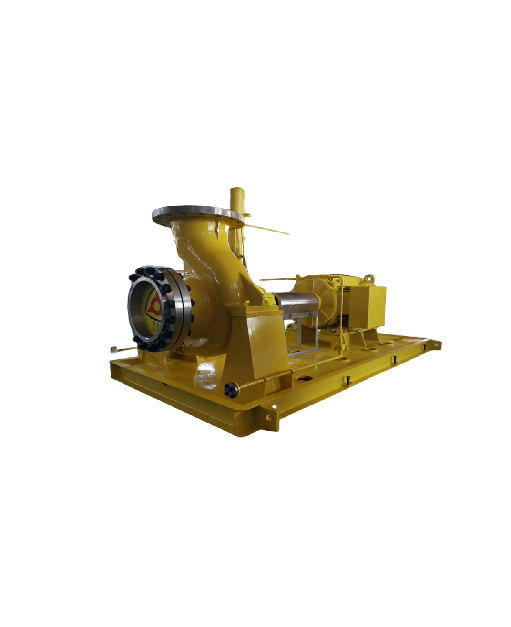 Petro-chemical Process Pump